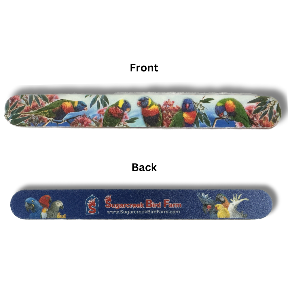 SBF Nail Files (Parrots)