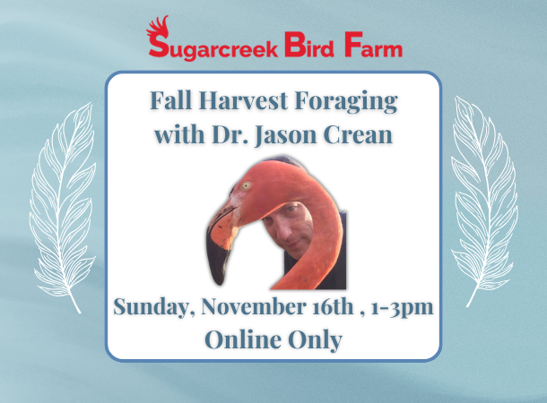 Fall Harvest Foraging with Dr. Jason Crean