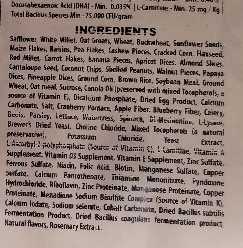 Thumbnail: Sunburst Conure, Per Pound