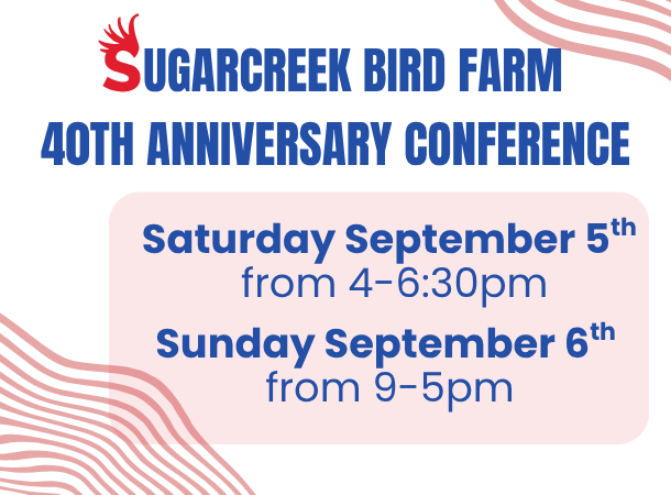 40th Anniversary Conference