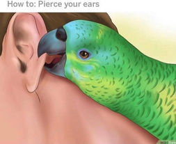 No Shoulders Please!