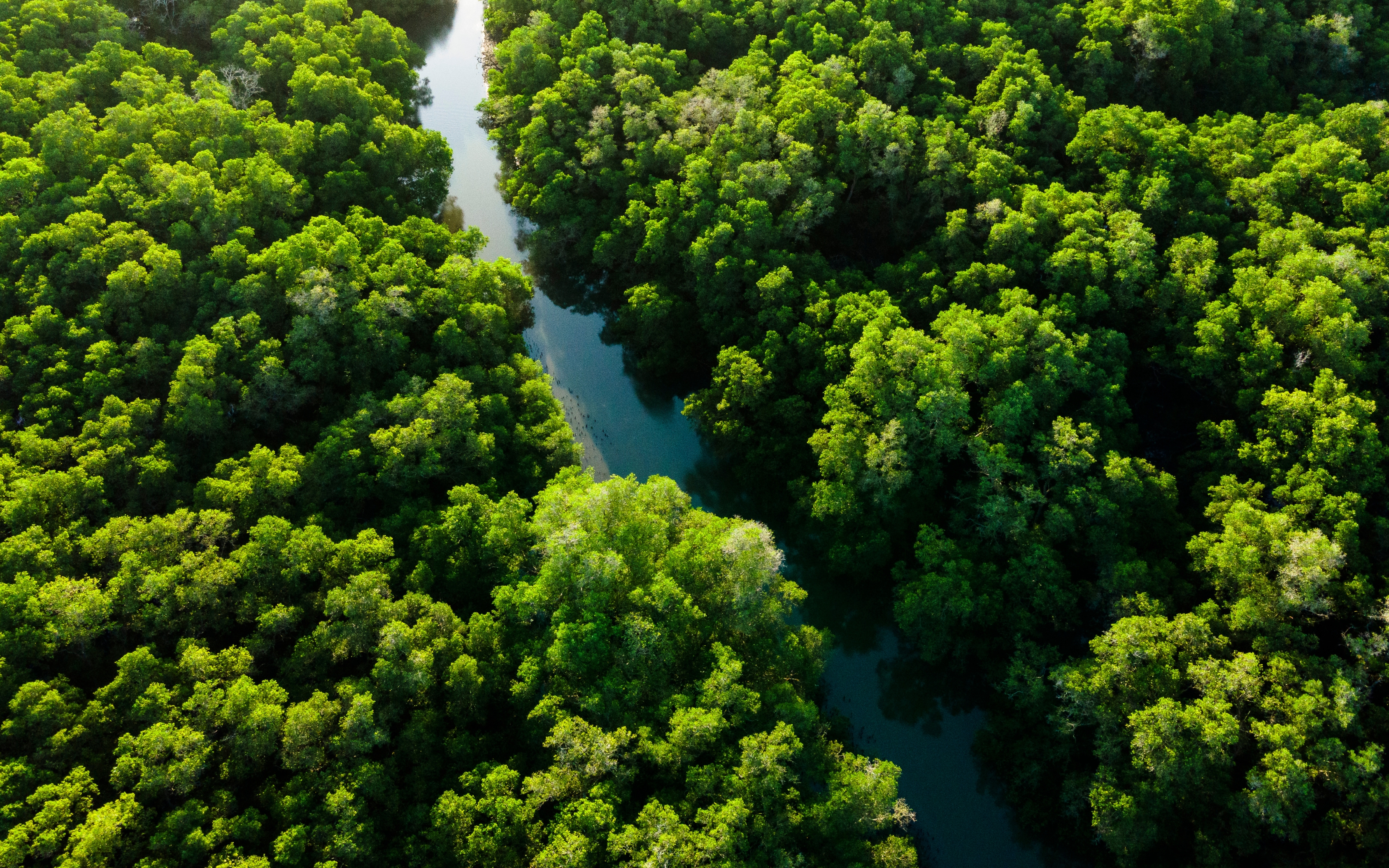 IMÁGENES - BLOGS.jpg