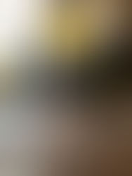 ÉPISODE 10 — QUAND DON QUICHOTTE SE PERDIT DANS LA MÉMOIRE ET TROUVA L’OPÉRA