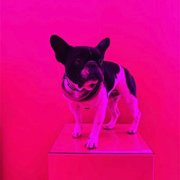 QUAND LA NUIT S'HABILLE DE LUXE ET DE LUMIERE