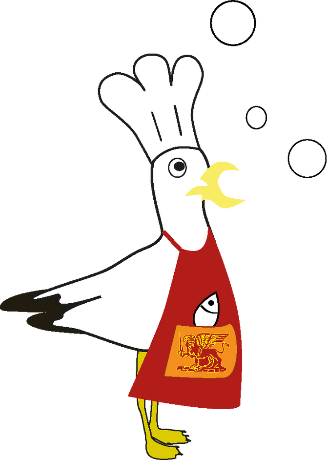 VENEZIA, gabbiani e tartarughe