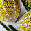 Thumbnail: MAUDE olive and yellow competition suit kata.apparel
