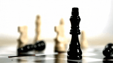 Chess (1).gif