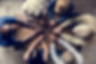 dreamstime_xl_115358409.jpeg