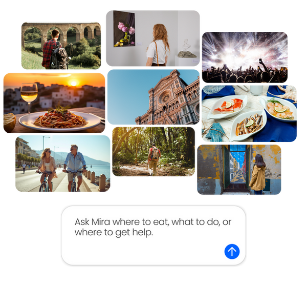 Different images to show tourism and some local photos