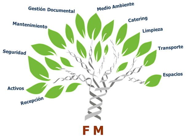 Arbol VF.png