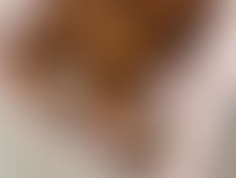 Zagreb Plaits | Zagrebačke Pletenice