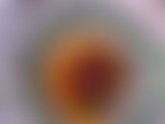 Dubrovnik rose crème caramel | Rožata