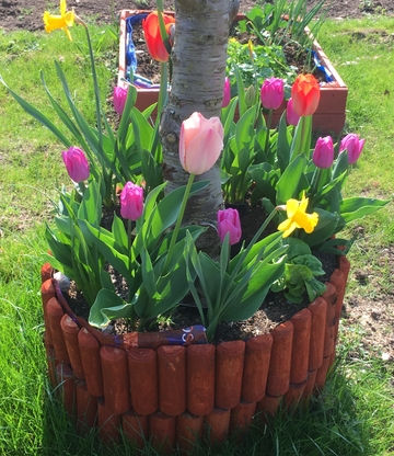 The Allotment 