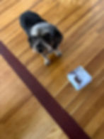 Casey with the salon's Tibetan bowl sound machine, lol.