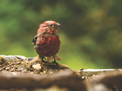 September: The Month of Transitions