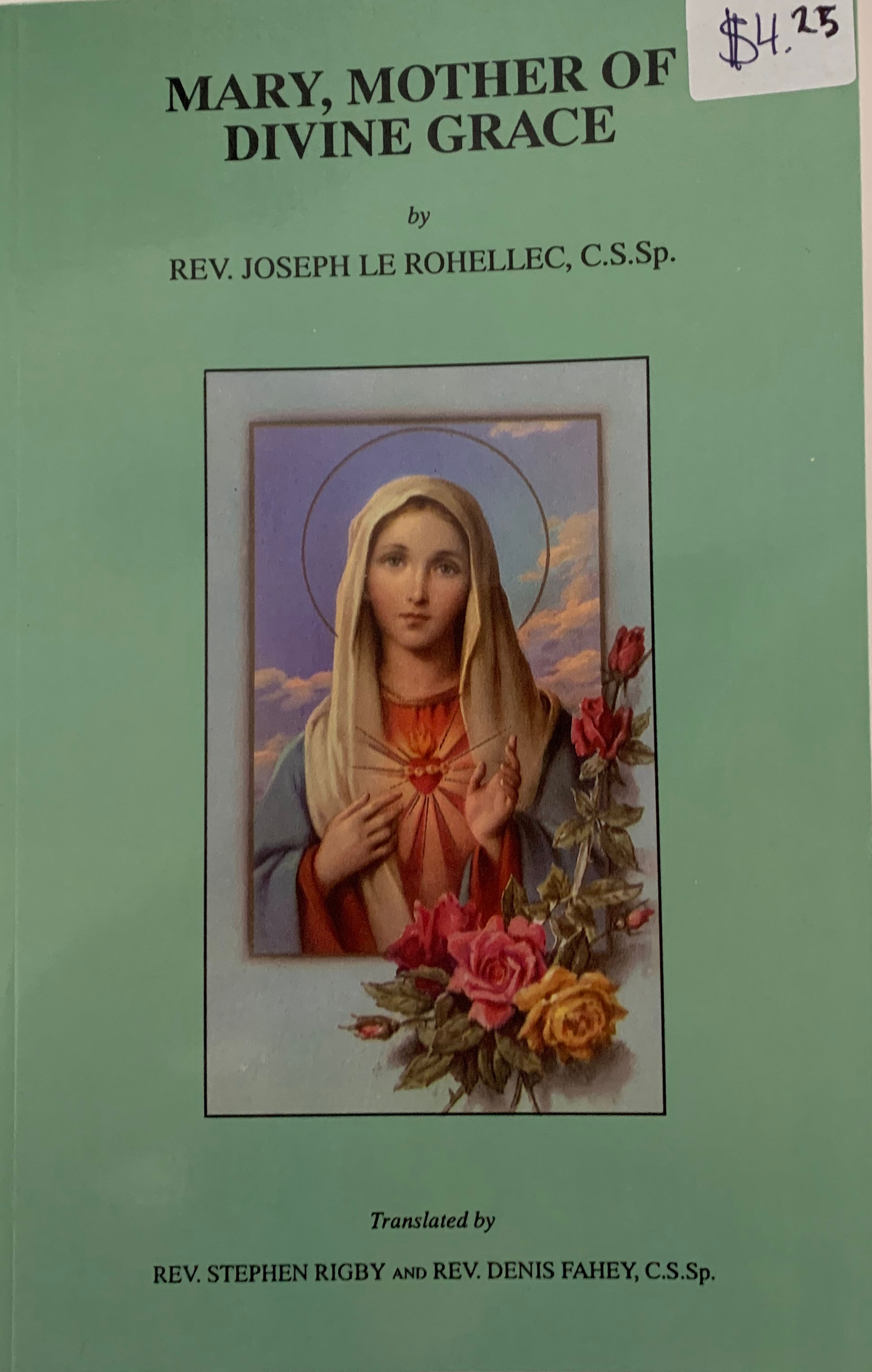 Mary, Mother of Divine Grace