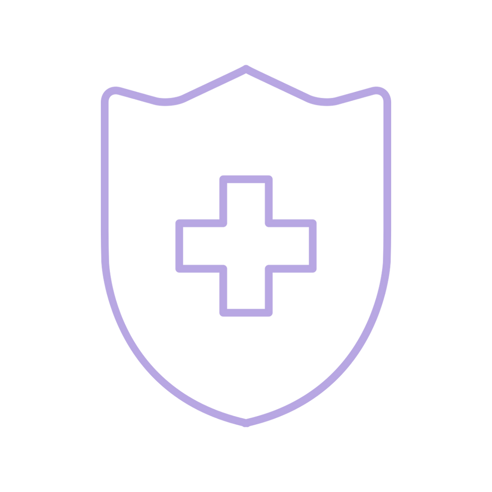 Health_Shield_Icon.png