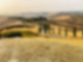 pexels-elia-pinzin-753077367-18676582.jpg