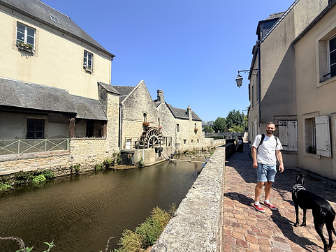 greyhound bayeux