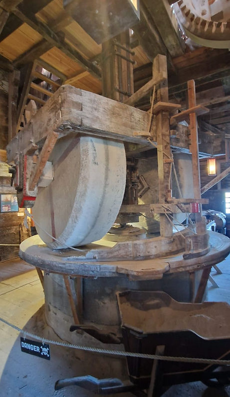 mill holland