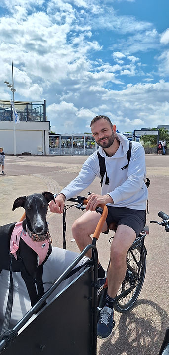 Greyhound bike
