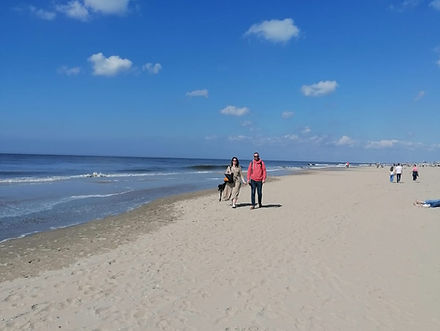 family holland beach