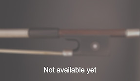 MorizotSOLDFrog_edited.jpg