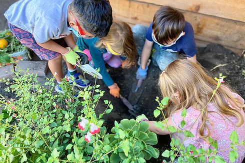 Chinese immersion preschool