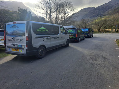 Line of taxis