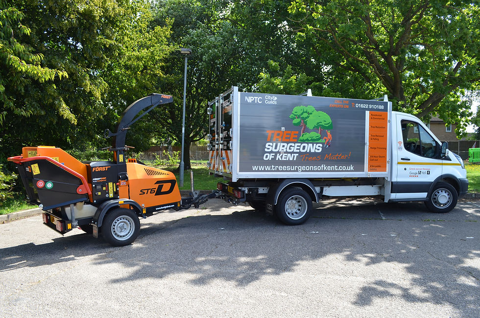 Tree Surgeons Of Kent - Truck and chipper - Looking Smart!