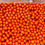 Thumbnail: Sea buckthorn