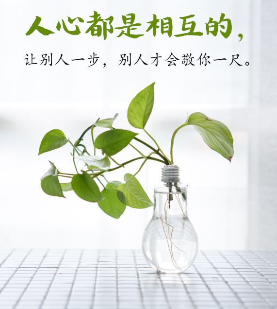 248.争名夺利和鸡争谷子没什么两样.jpg