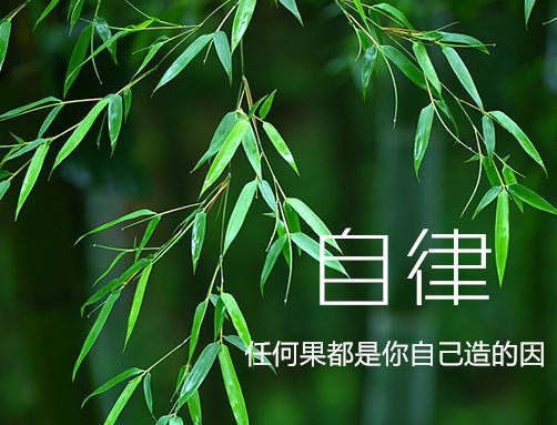 266.【笑话】刷卡短信.jpg
