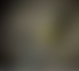 Essential Fly Tying Techniques for Anglers