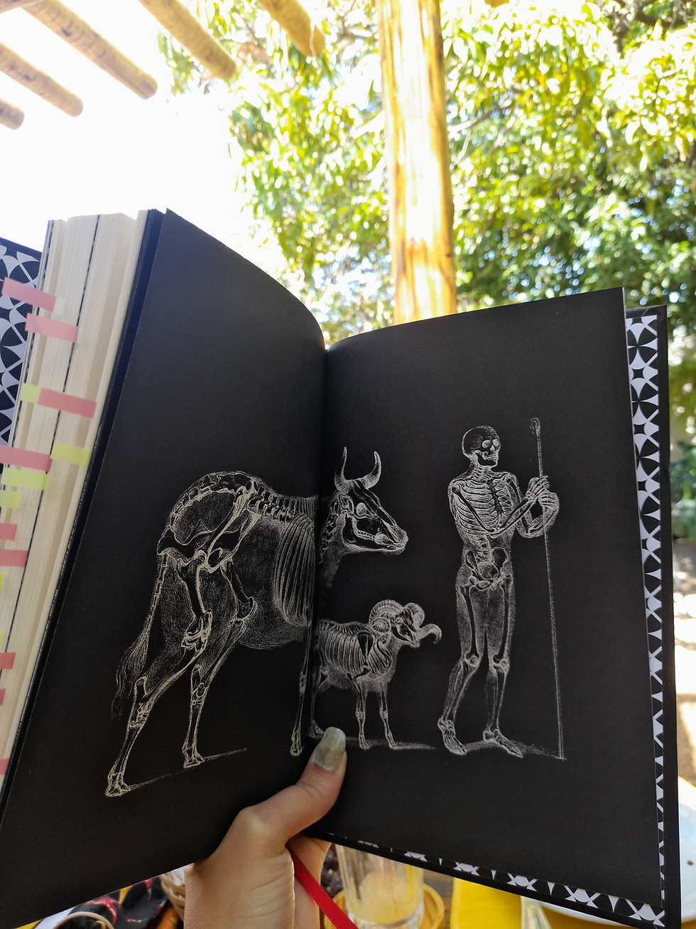 Ilustração da edição de Saboros Cadáver pela Darkside Books