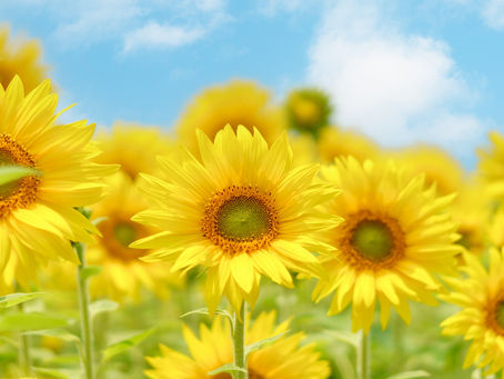 あいさつに込める思い