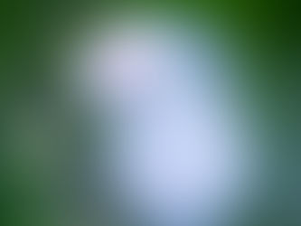 畏れを忘れない