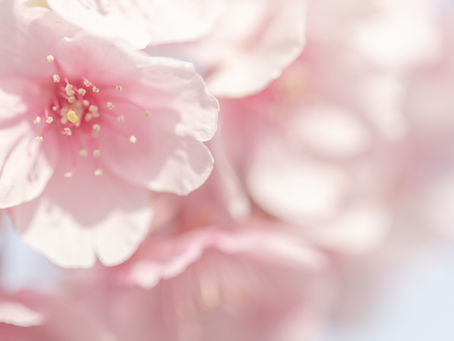 ブログ始めました!