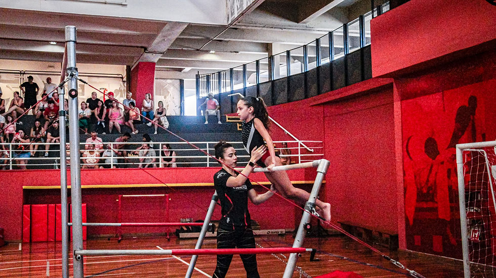 História da ginástica artística