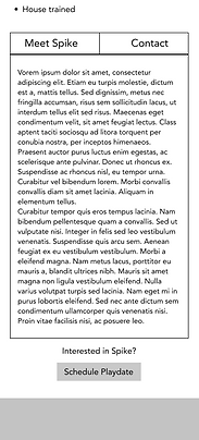 Pet Listing.png