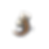 IMG_2021.PNG