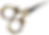 IMG_2017.PNG