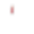 IMG_2029.PNG