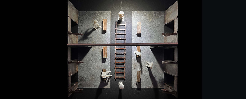 IMG_4184 23.jpg