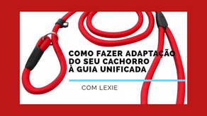 ADAPTAÇÃO À GUIA UNIFICADA