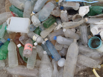 ALDI moves on plastics