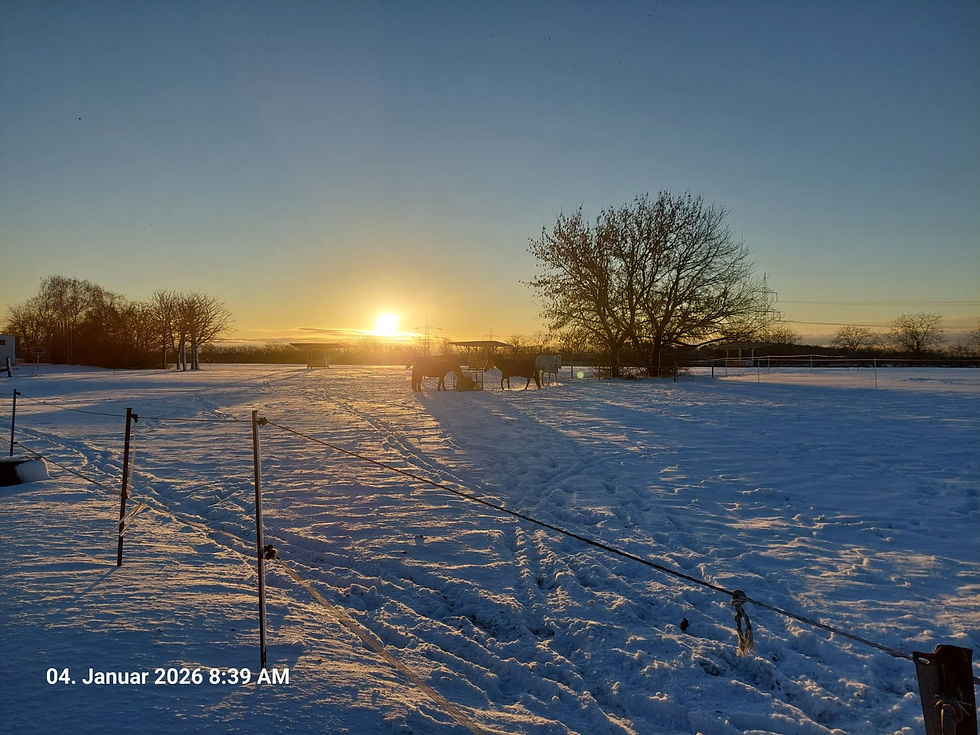 Der Pferdehof im Schneeparadies