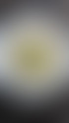 Trüffel-Pasta vegan