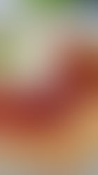 Erdbeer-Marillen-Galette 