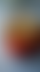 Gefüllte Paprika -Gluten/ Laktosefrei, Low Carb-